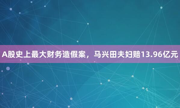 A股史上最大财务造假案，马兴田夫妇赔13.96亿元