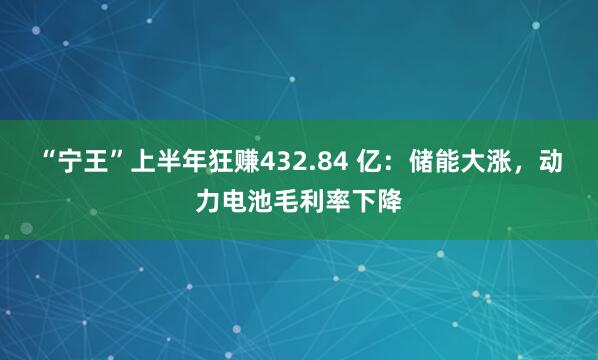 “宁王”上半年狂赚432.84 亿:储能大涨,动力电池毛利率下降