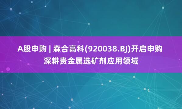 A股申购 | 森合高科(920038.BJ)开启申购 深耕贵金属选矿剂应用领域