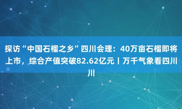 探访“中国石榴之乡”四川会理：40万亩石榴即将上市，综合产值突破82.62亿元丨万千气象看四川