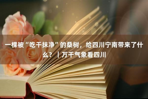 一棵被“吃干抹净”的桑树，给四川宁南带来了什么？｜万千气象看四川