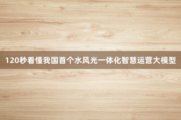 120秒看懂我国首个水风光一体化智慧运营大模型