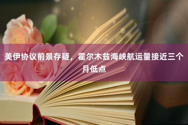 美伊协议前景存疑，霍尔木兹海峡航运量接近三个月低点