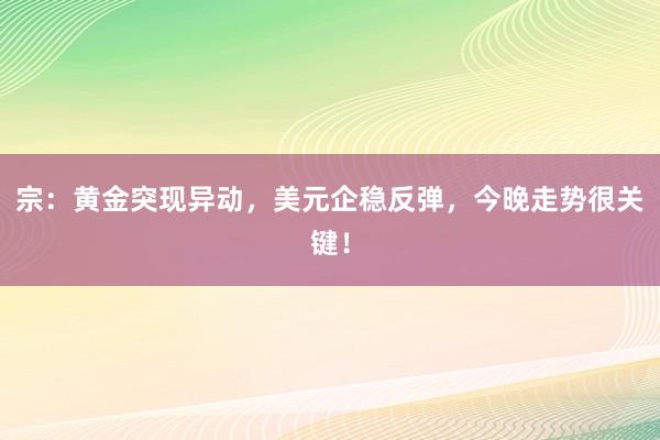 宗：黄金突现异动，美元企稳反弹，今晚走势很关键！