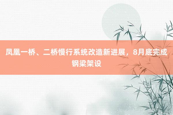 凤凰一桥、二桥慢行系统改造新进展，8月底完成钢梁架设