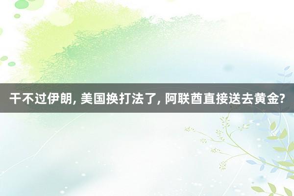 干不过伊朗, 美国换打法了, 阿联酋直接送去黄金?
