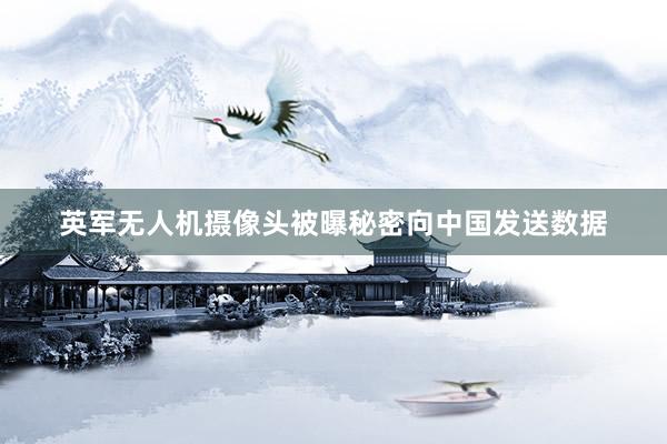 英军无人机摄像头被曝秘密向中国发送数据