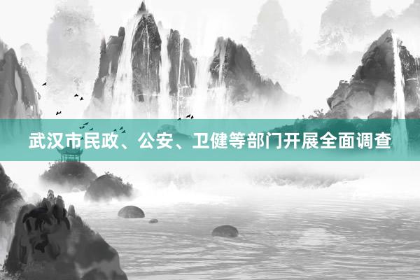 武汉市民政、公安、卫健等部门开展全面调查