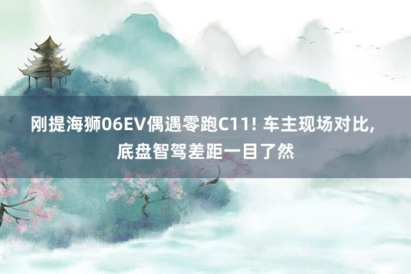 刚提海狮06EV偶遇零跑C11! 车主现场对比, 底盘智驾差距一目了然