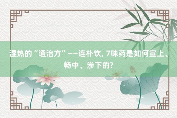 湿热的“通治方”——连朴饮, 7味药是如何宣上、畅中、渗下的?