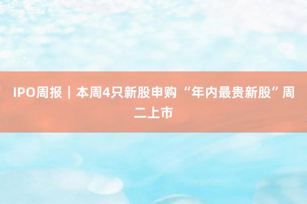 IPO周报｜本周4只新股申购 “年内最贵新股”周二上市