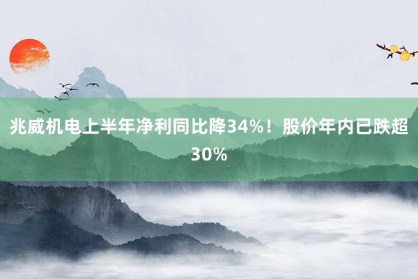 兆威机电上半年净利同比降34%！股价年内已跌超30%