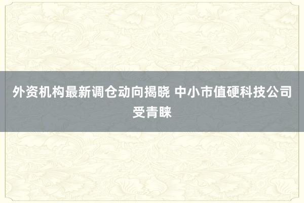 外资机构最新调仓动向揭晓 中小市值硬科技公司受青睐