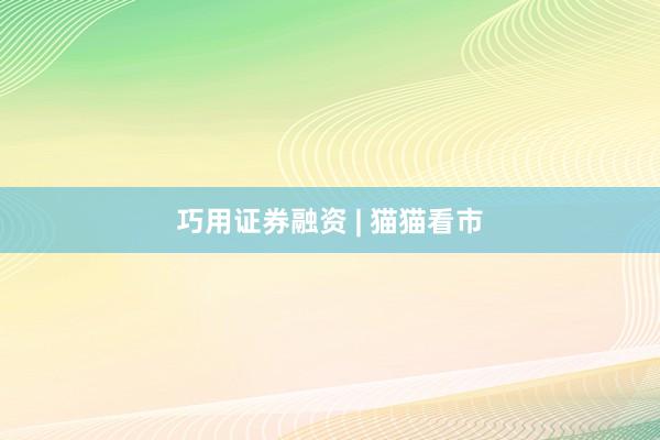 巧用证券融资 | 猫猫看市
