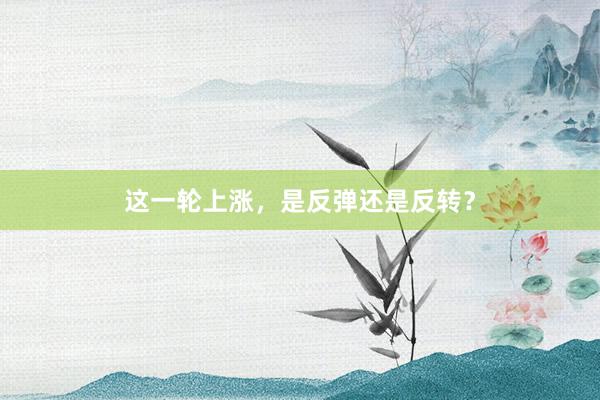 这一轮上涨，是反弹还是反转？