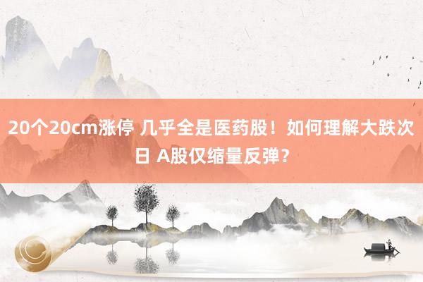 20个20cm涨停 几乎全是医药股！如何理解大跌次日 A股仅缩量反弹？
