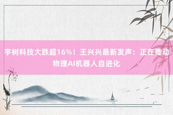 宇树科技大跌超16%！王兴兴最新发声：正在推动物理AI机器人自进化
