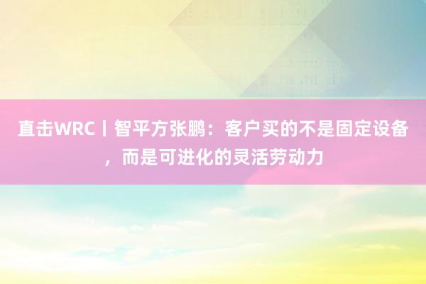 直击WRC丨智平方张鹏：客户买的不是固定设备，而是可进化的灵活劳动力