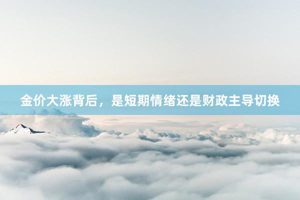 金价大涨背后，是短期情绪还是财政主导切换