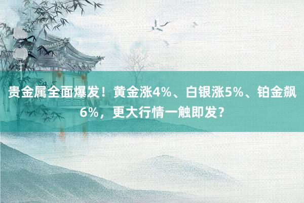 贵金属全面爆发！黄金涨4%、白银涨5%、铂金飙6%，更大行情一触即发？