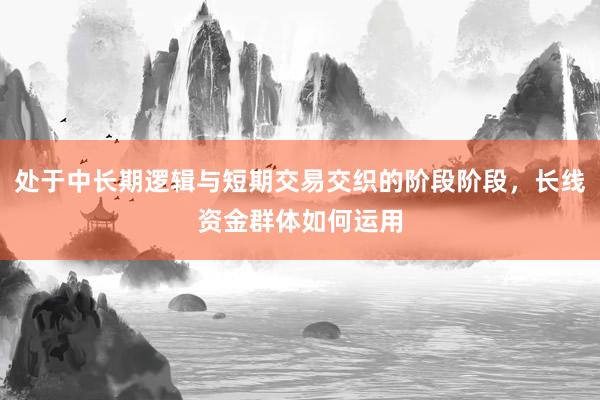 处于中长期逻辑与短期交易交织的阶段阶段，长线资金群体如何运用