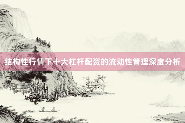 结构性行情下十大杠杆配资的流动性管理深度分析