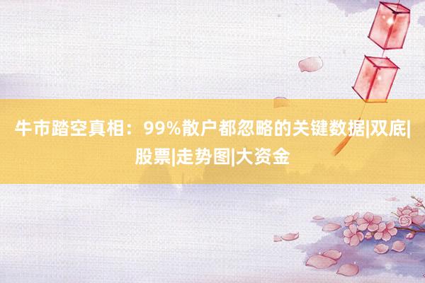 牛市踏空真相：99%散户都忽略的关键数据|双底|股票|走势图|大资金