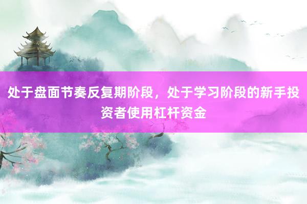 处于盘面节奏反复期阶段，处于学习阶段的新手投资者使用杠杆资金
