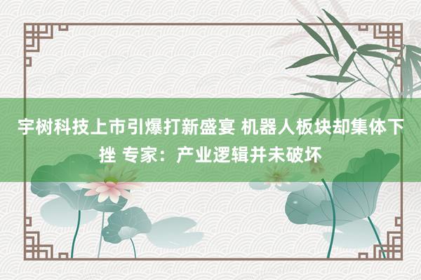 宇树科技上市引爆打新盛宴 机器人板块却集体下挫 专家：产业逻辑并未破坏