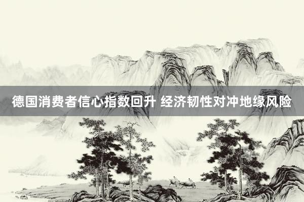 德国消费者信心指数回升 经济韧性对冲地缘风险
