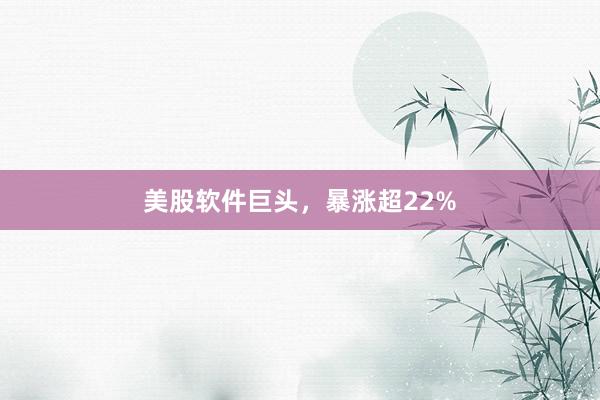 美股软件巨头，暴涨超22%