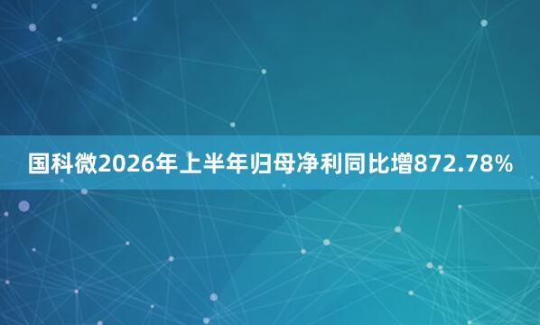 国科微2026年上半年归母净利同比增872.78%