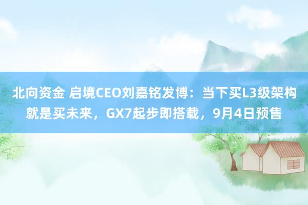 北向资金 启境CEO刘嘉铭发博：当下买L3级架构就是买未来，GX7起步即搭载，9月4日预售