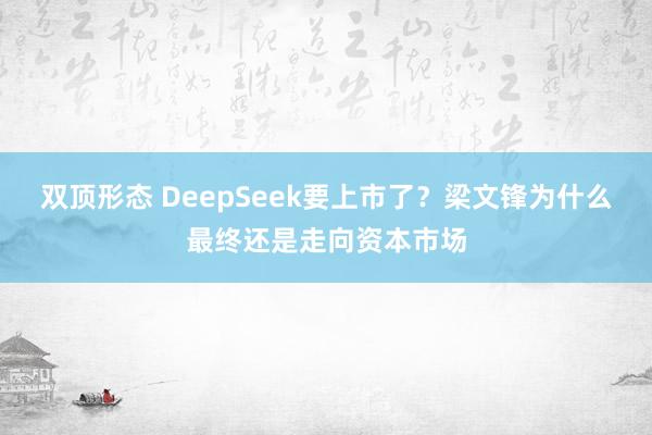 双顶形态 DeepSeek要上市了？梁文锋为什么最终还是走向资本市场