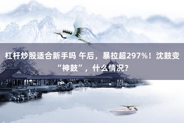 杠杆炒股适合新手吗 午后，暴拉超297%！沈鼓变“神鼓”，什么情况？