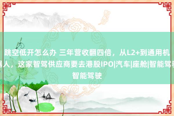 跳空低开怎么办 三年营收翻四倍,从L2+到通用机器人,这家智驾供应商要去港股IPO|汽车|座舱|智能驾驶