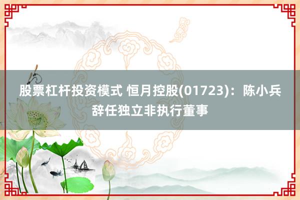 股票杠杆投资模式 恒月控股(01723)：陈小兵辞任独立非执行董事