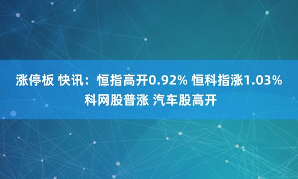 涨停板 快讯：恒指高开0.92% 恒科指涨1.03% 科网股普涨 汽车股高开