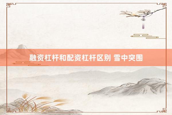 融资杠杆和配资杠杆区别 雪中突围